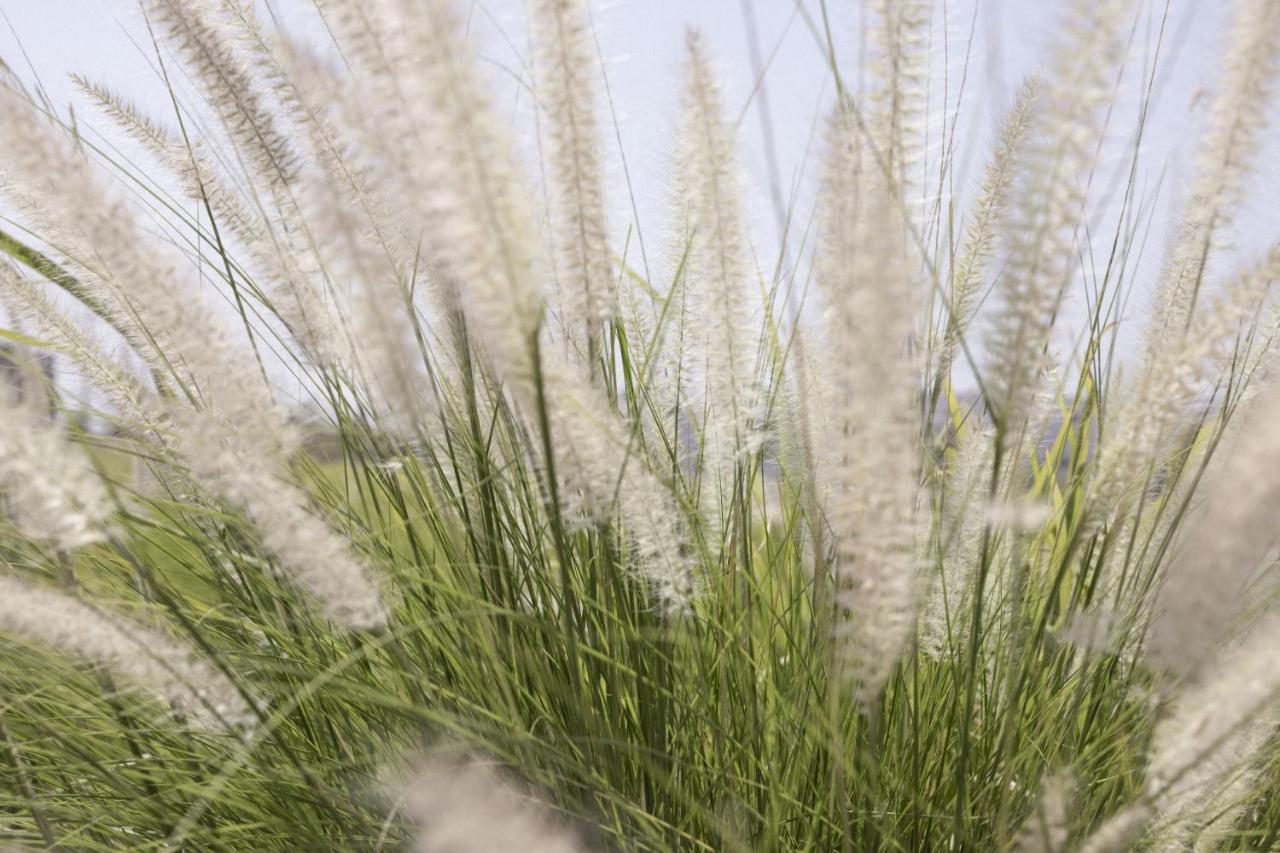 מלון Cuatrociénegas de Carranza Tierra Maria מראה חיצוני תמונה