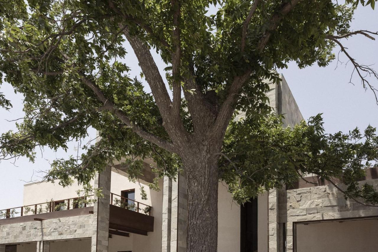 מלון Cuatrociénegas de Carranza Tierra Maria מראה חיצוני תמונה